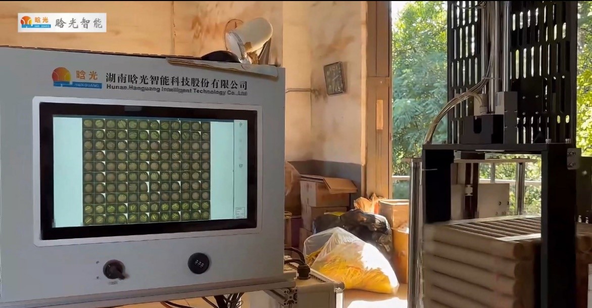 纸管烟花坨检测